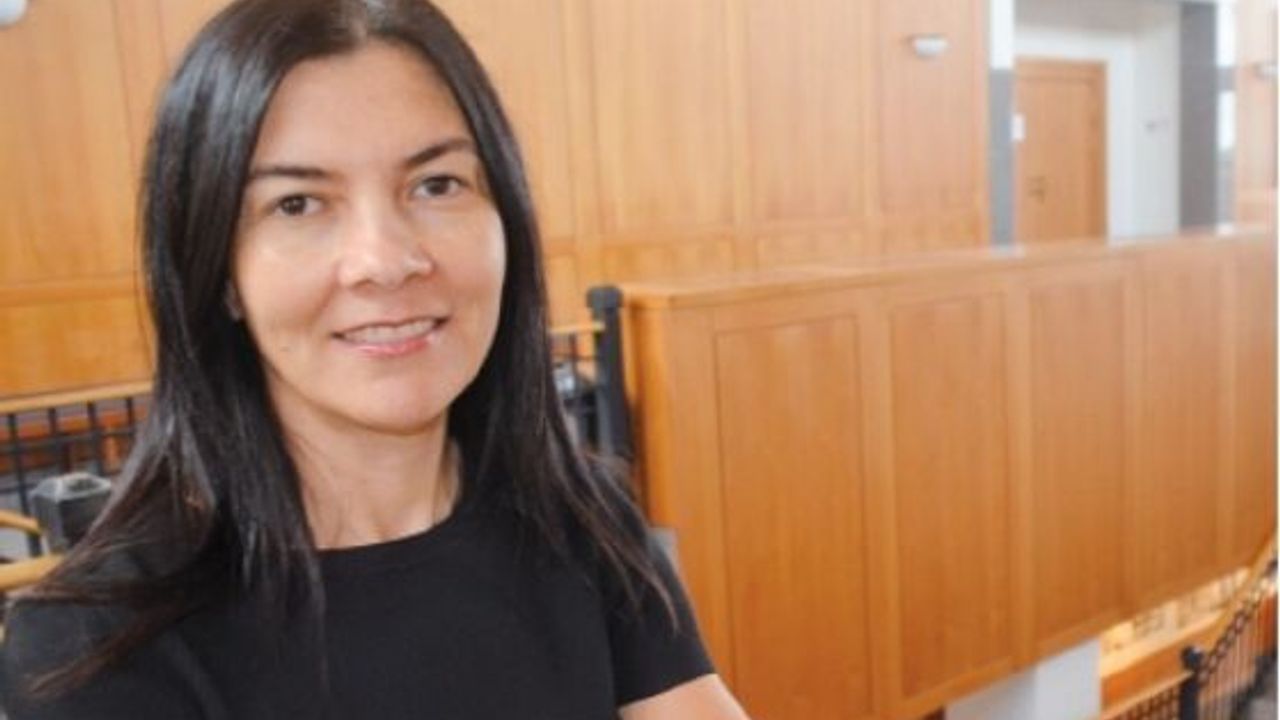 Türkiye'nin yaşadığı konjonktürel bir dalgalanma