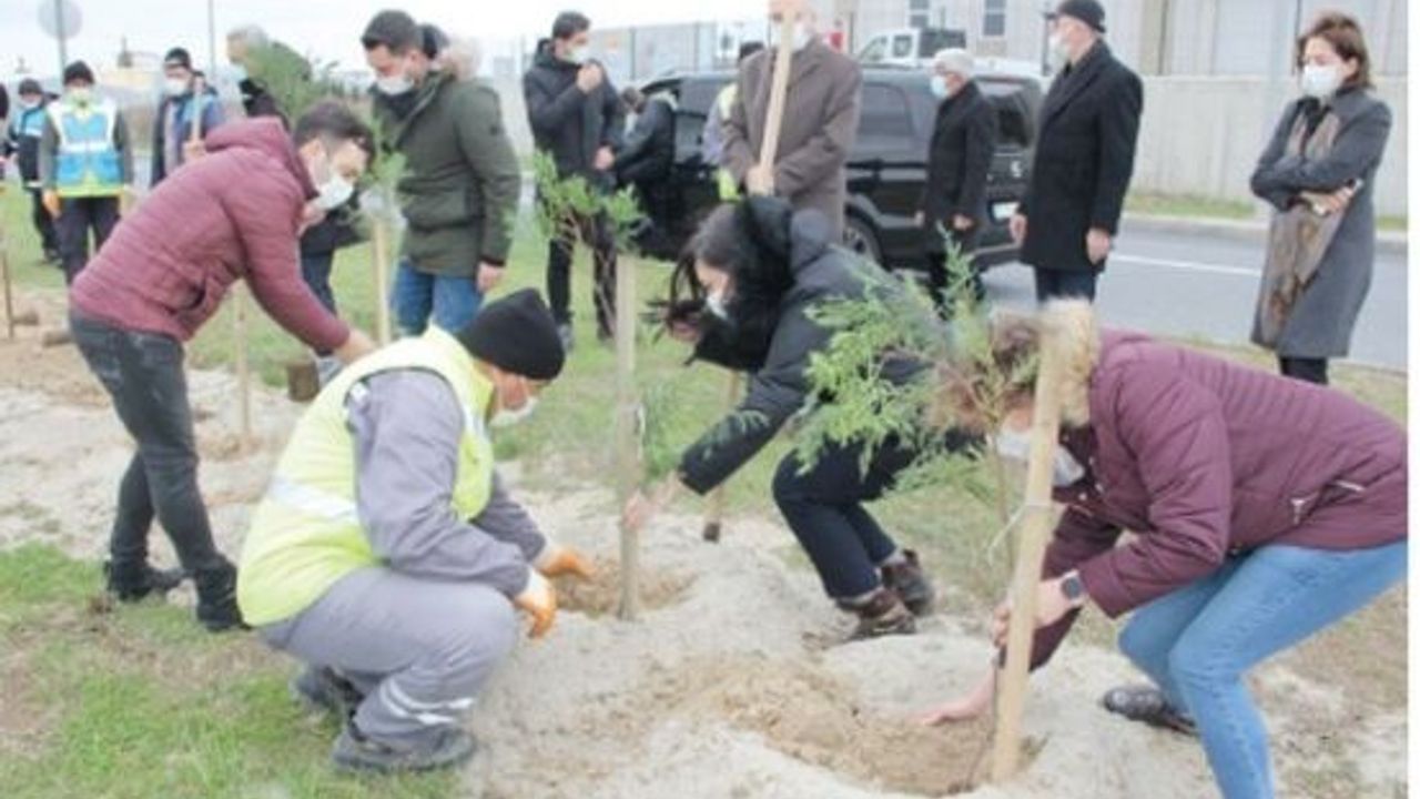 ÇOSB, bünyesindeki her öğretmen adına bir fidan dikti
