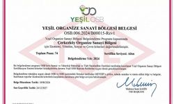 ÇOSB, YEŞİL OSB OLARAK ALTIN SEVİYEYE YÜKSELEN İLK OSB OLDU
